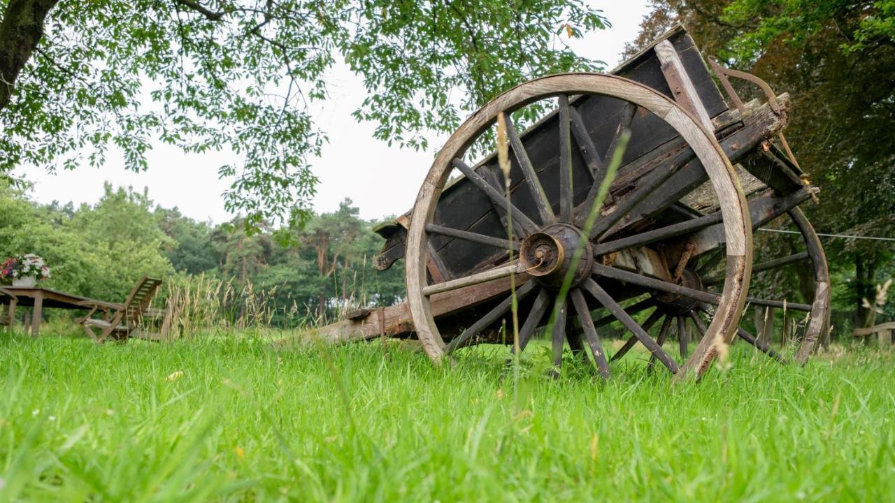 B&B Erve Ten Dam Ambt Delden Eksteriør billede